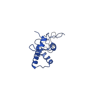 25365_7sp4_h_v1-1
In situ cryo-EM structure of bacteriophage Sf6 gp3:gp7:gp5 complex in conformation 2 at 3.71A resolution