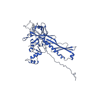 25365_7sp4_i_v1-1
In situ cryo-EM structure of bacteriophage Sf6 gp3:gp7:gp5 complex in conformation 2 at 3.71A resolution