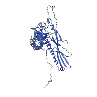 25365_7sp4_j_v1-1
In situ cryo-EM structure of bacteriophage Sf6 gp3:gp7:gp5 complex in conformation 2 at 3.71A resolution