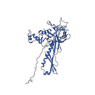 25365_7sp4_k_v1-1
In situ cryo-EM structure of bacteriophage Sf6 gp3:gp7:gp5 complex in conformation 2 at 3.71A resolution