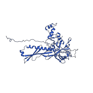 25365_7sp4_l_v1-1
In situ cryo-EM structure of bacteriophage Sf6 gp3:gp7:gp5 complex in conformation 2 at 3.71A resolution