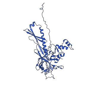 25365_7sp4_n_v1-1
In situ cryo-EM structure of bacteriophage Sf6 gp3:gp7:gp5 complex in conformation 2 at 3.71A resolution