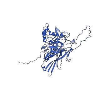 25365_7sp4_o_v1-1
In situ cryo-EM structure of bacteriophage Sf6 gp3:gp7:gp5 complex in conformation 2 at 3.71A resolution