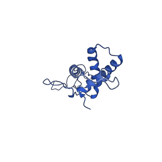 25365_7sp4_r_v1-1
In situ cryo-EM structure of bacteriophage Sf6 gp3:gp7:gp5 complex in conformation 2 at 3.71A resolution