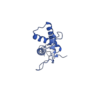 25365_7sp4_s_v1-1
In situ cryo-EM structure of bacteriophage Sf6 gp3:gp7:gp5 complex in conformation 2 at 3.71A resolution