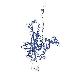 25365_7sp4_t_v1-1
In situ cryo-EM structure of bacteriophage Sf6 gp3:gp7:gp5 complex in conformation 2 at 3.71A resolution