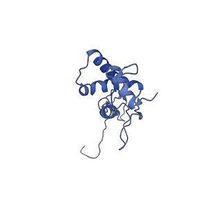 25365_7sp4_u_v1-1
In situ cryo-EM structure of bacteriophage Sf6 gp3:gp7:gp5 complex in conformation 2 at 3.71A resolution