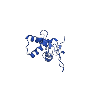 25365_7sp4_x_v1-1
In situ cryo-EM structure of bacteriophage Sf6 gp3:gp7:gp5 complex in conformation 2 at 3.71A resolution