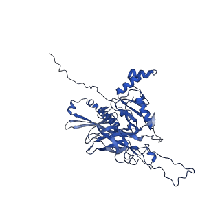 25365_7sp4_y_v1-1
In situ cryo-EM structure of bacteriophage Sf6 gp3:gp7:gp5 complex in conformation 2 at 3.71A resolution