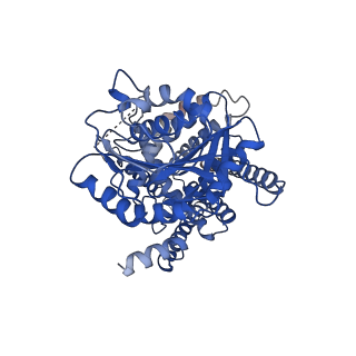 25369_7sp9_A_v1-2
Chlorella virus Hyaluronan Synthase in the GlcNAc-primed channel-closed state