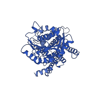25370_7spa_A_v1-2
Chlorella virus Hyaluronan Synthase in the GlcNAc-primed, channel-open state