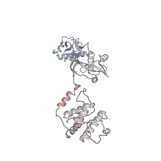 40672_8sp0_A_v1-1
Symmetric dimer of MapSPARTA bound with gRNA/tDNA hybrid