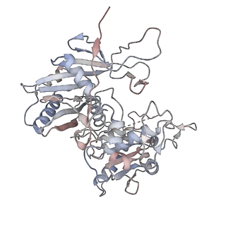 40672_8sp0_B_v1-1
Symmetric dimer of MapSPARTA bound with gRNA/tDNA hybrid