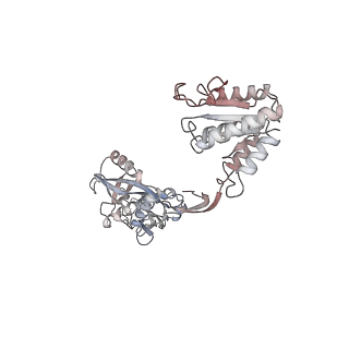 40672_8sp0_E_v1-1
Symmetric dimer of MapSPARTA bound with gRNA/tDNA hybrid