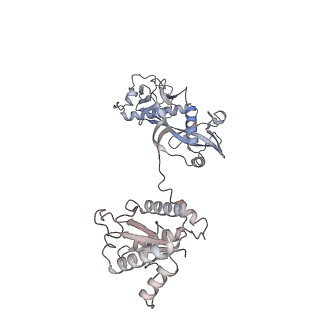 40673_8sp3_A_v1-1
Asymmetric dimer of MapSPARTA bound with gRNA/tDNA hybrid