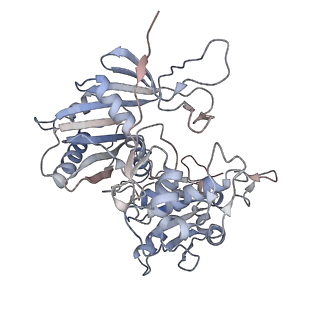40673_8sp3_B_v1-1
Asymmetric dimer of MapSPARTA bound with gRNA/tDNA hybrid