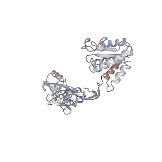 40673_8sp3_E_v1-1
Asymmetric dimer of MapSPARTA bound with gRNA/tDNA hybrid