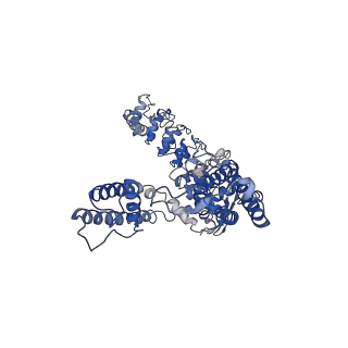 40676_8sp8_B_v1-0
Human TRP channel TRPV6 in cNW30 nanodiscs inhibited by tetrahydrocannabivarin (THCV)