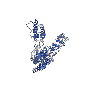 40676_8sp8_C_v1-0
Human TRP channel TRPV6 in cNW30 nanodiscs inhibited by tetrahydrocannabivarin (THCV)