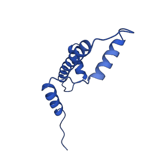 40683_8sps_A_v1-0
High resolution structure of ESRRB nucleosome bound OCT4 at site a and site b