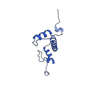40683_8sps_C_v1-0
High resolution structure of ESRRB nucleosome bound OCT4 at site a and site b