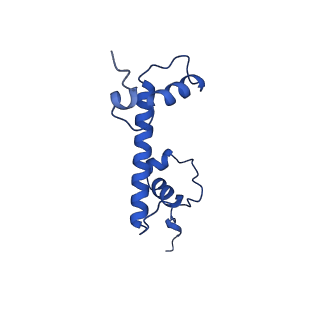 40683_8sps_G_v1-0
High resolution structure of ESRRB nucleosome bound OCT4 at site a and site b