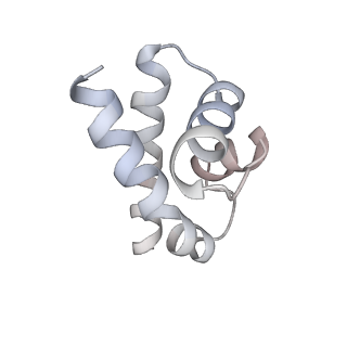 40683_8sps_L_v1-0
High resolution structure of ESRRB nucleosome bound OCT4 at site a and site b