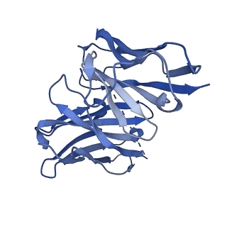 40683_8sps_N_v1-0
High resolution structure of ESRRB nucleosome bound OCT4 at site a and site b