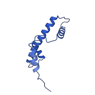 40686_8spu_A_v1-1
Structure of ESRRB nucleosome bound OCT4 at site c