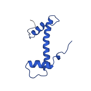 40686_8spu_B_v1-1
Structure of ESRRB nucleosome bound OCT4 at site c