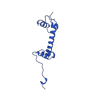 40686_8spu_C_v1-0
Structure of ESRRB nucleosome bound OCT4 at site c