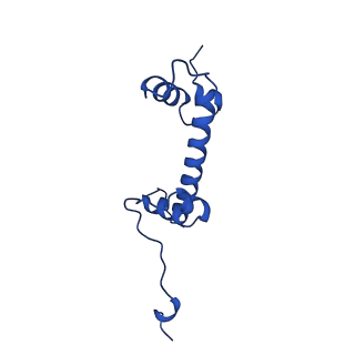 40686_8spu_C_v1-1
Structure of ESRRB nucleosome bound OCT4 at site c