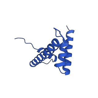 40686_8spu_D_v1-0
Structure of ESRRB nucleosome bound OCT4 at site c