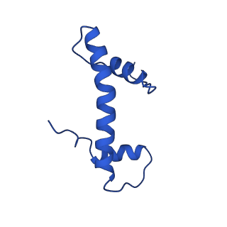 40686_8spu_F_v1-1
Structure of ESRRB nucleosome bound OCT4 at site c