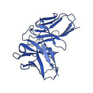 40686_8spu_N_v1-0
Structure of ESRRB nucleosome bound OCT4 at site c
