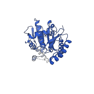 25373_7sq0_A_v1-2
Get3 bound to ADP and the transmembrane domain of the tail-anchored protein Bos1