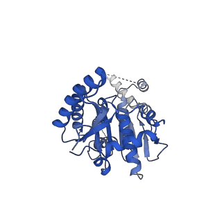 25373_7sq0_B_v1-2
Get3 bound to ADP and the transmembrane domain of the tail-anchored protein Bos1
