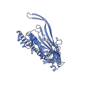 25379_7sq8_B_v1-2
Cryo-EM structure of mouse apo TRPML1 channel at 2.598 Angstrom resolution