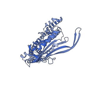 25379_7sq8_C_v1-2
Cryo-EM structure of mouse apo TRPML1 channel at 2.598 Angstrom resolution