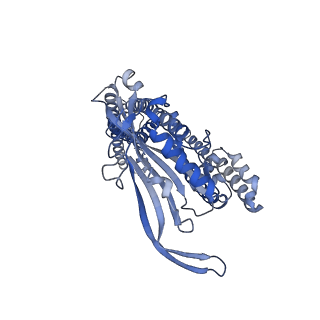 25379_7sq8_D_v1-2
Cryo-EM structure of mouse apo TRPML1 channel at 2.598 Angstrom resolution