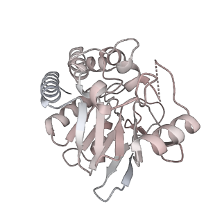 25381_7sqc_6D_v1-1
Ciliary C1 central pair apparatus isolated from Chlamydomonas reinhardtii