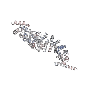 25381_7sqc_J3_v1-1
Ciliary C1 central pair apparatus isolated from Chlamydomonas reinhardtii