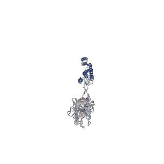 25382_7sqd_A_v1-1
Cryo-EM structure of the Achromobacter flagellar filament