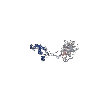 25382_7sqd_B_v1-1
Cryo-EM structure of the Achromobacter flagellar filament