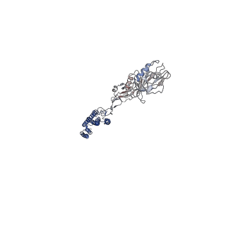 25382_7sqd_C_v1-1
Cryo-EM structure of the Achromobacter flagellar filament