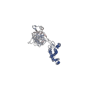 25382_7sqd_D_v1-1
Cryo-EM structure of the Achromobacter flagellar filament