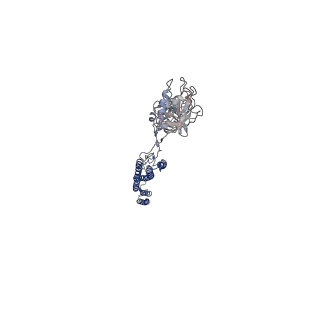 25382_7sqd_F_v1-1
Cryo-EM structure of the Achromobacter flagellar filament