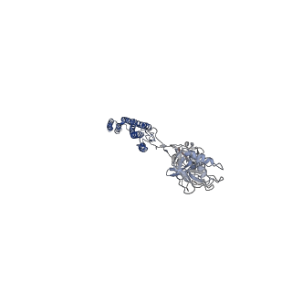 25382_7sqd_G_v1-1
Cryo-EM structure of the Achromobacter flagellar filament