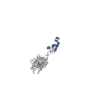 25382_7sqd_H_v1-1
Cryo-EM structure of the Achromobacter flagellar filament