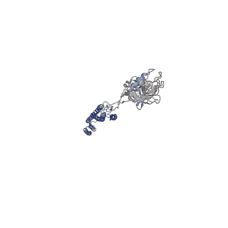 25382_7sqd_J_v1-1
Cryo-EM structure of the Achromobacter flagellar filament